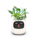 Smart Small Flower Pot